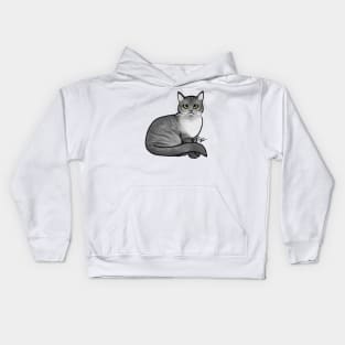 Cat - British Shorthair - Silver Tabby Kids Hoodie